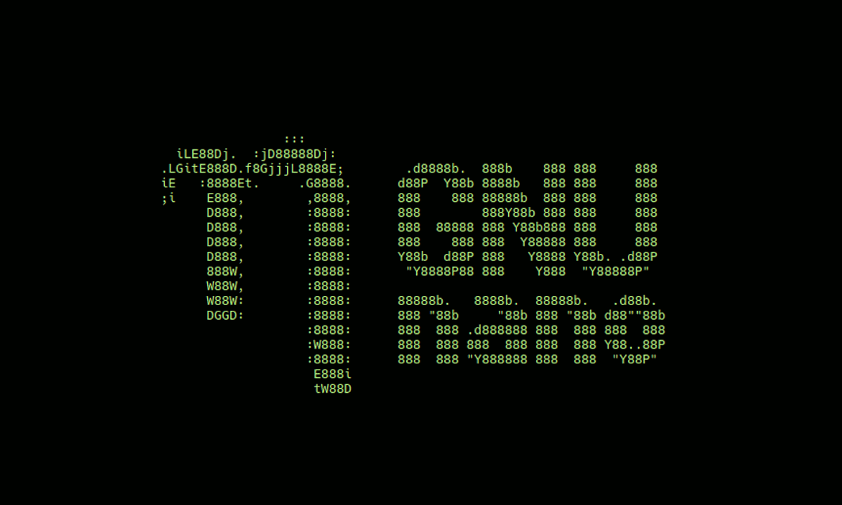 GNU nano 8.0 introduce diversas novedades que mejoran su uso