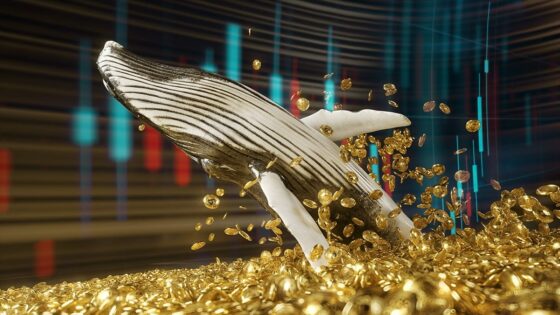 Una «ballena» de bitcoin despertó tras 6 años para vender sus monedas