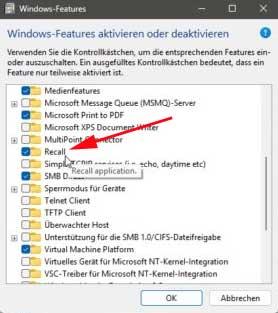 eliminar recall Windows