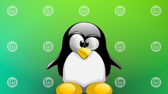 El próximo Linux Mint llegará en diciembre, y parecerá un sistema totalmente nuevo