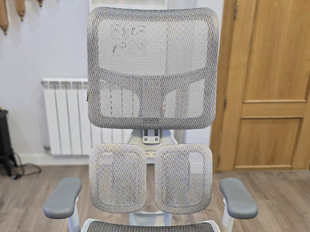 Silla de oficina Sihoo Doro S100