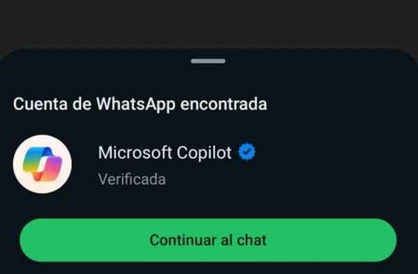 whatsapp copilot