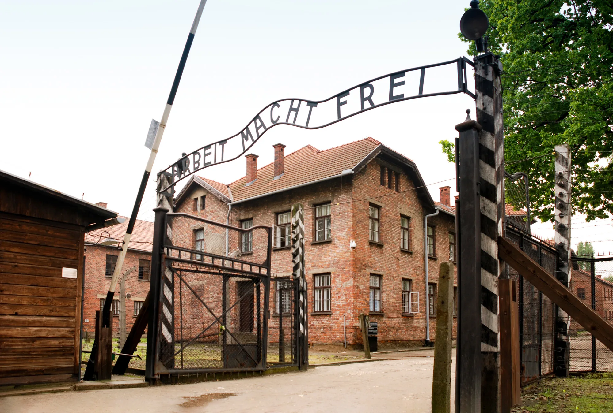 Así fue la conmemoración de los 80 años de la liberación de Auschwitz