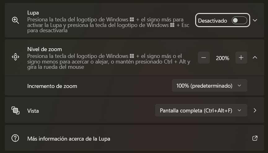 lupa windows 11