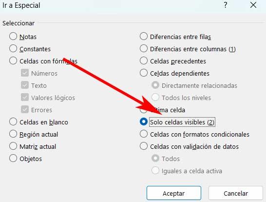 celdas visibles Excel