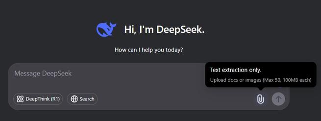 deepseek subir