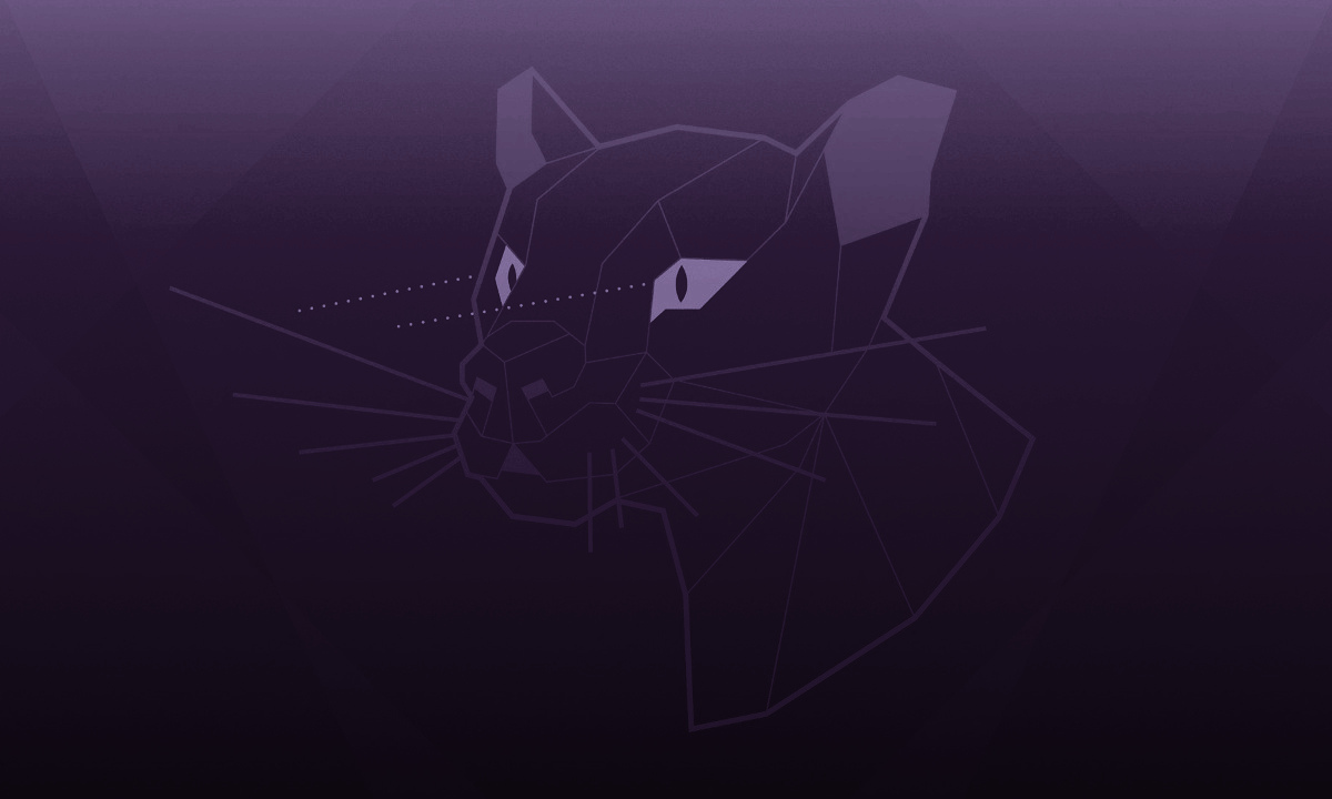 Canonical anuncia el final del soporte estándar de Ubuntu 20.04 LTS