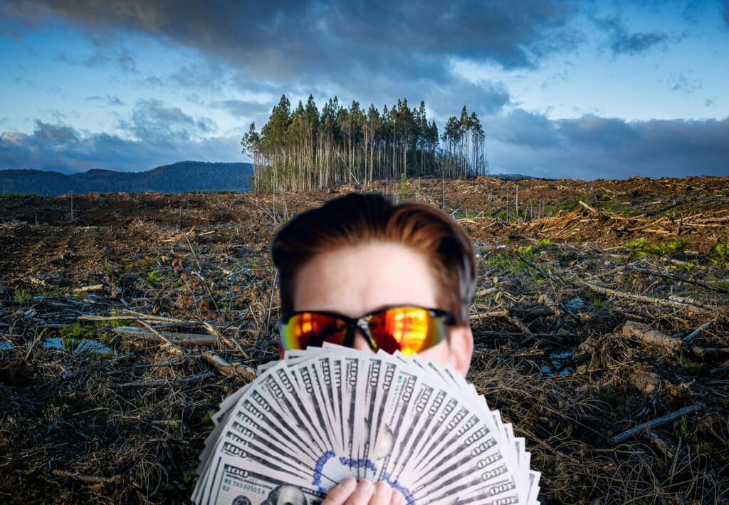 El cambio climático está destruyendo regiones enteras. Sin embargo, está llegando a impulsar la economía de EEUU