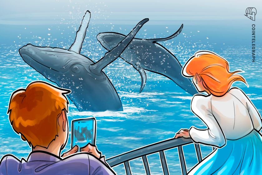Analistas: actividad de ballenas de Bitcoin en camino a registrar su semana más movida este año
