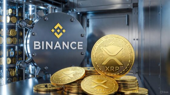 Reservas de XRP en Binance van en caída libre