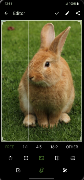 Opciones de edición de Fossify Gallery