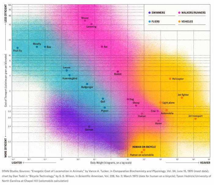 La forma energéticamente más eficiente de viajar del mundo animal: un ser humano en velomóvil