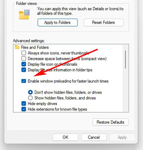 activar-precarga-explorador