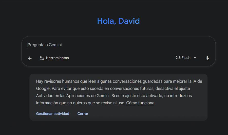 interfaz google gemini