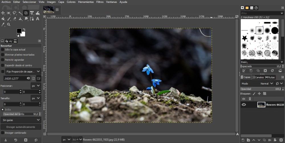 Interfaz de GIMP junto a archivo de imagen donde sobresalen flores azules listo para ser editado