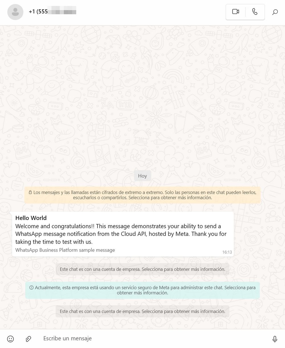 WhatsApp Business Chat