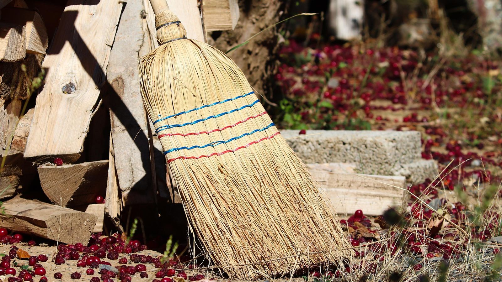 Esta aplicación tiene 20 años pero sigue siendo la mejor para quitar basura y optimizar Windows