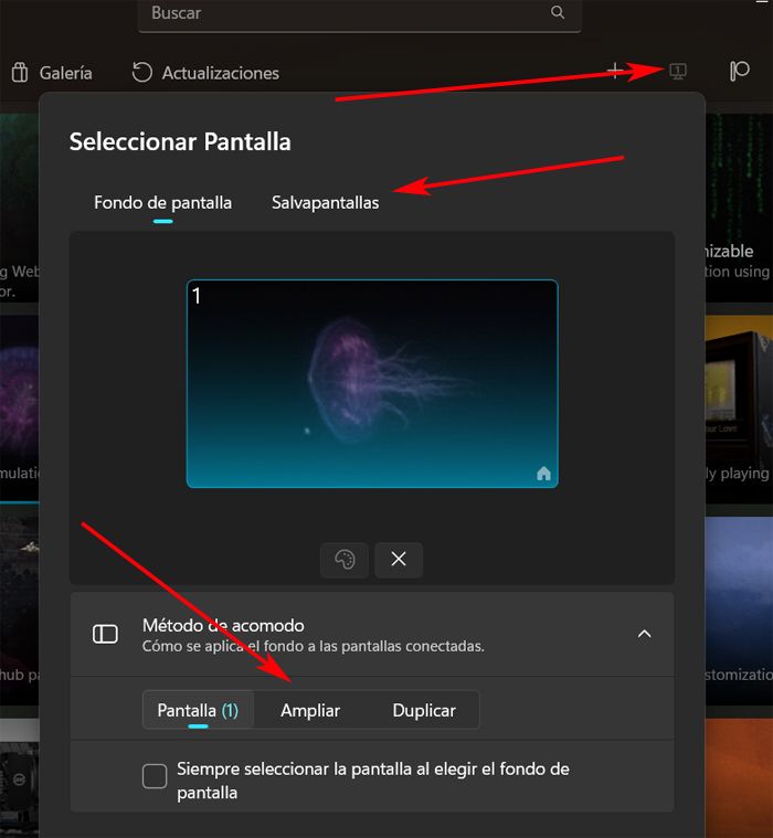 Personalización de los fondos animados para Windows con el programa.