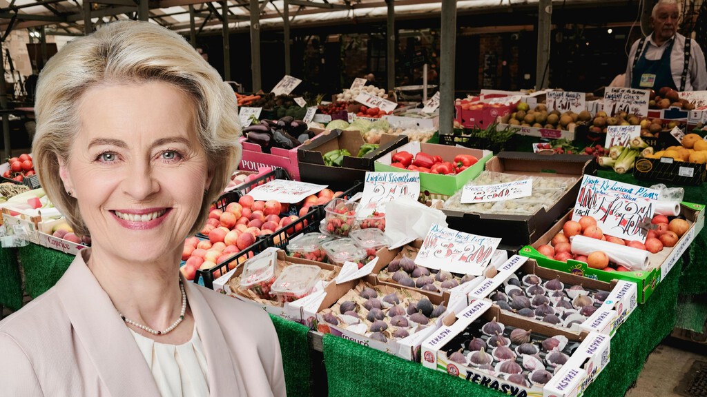 La UE aportará más de 413 millones para frutas y hortalizas en España, pero no es un salvavidas frente a Mercosur