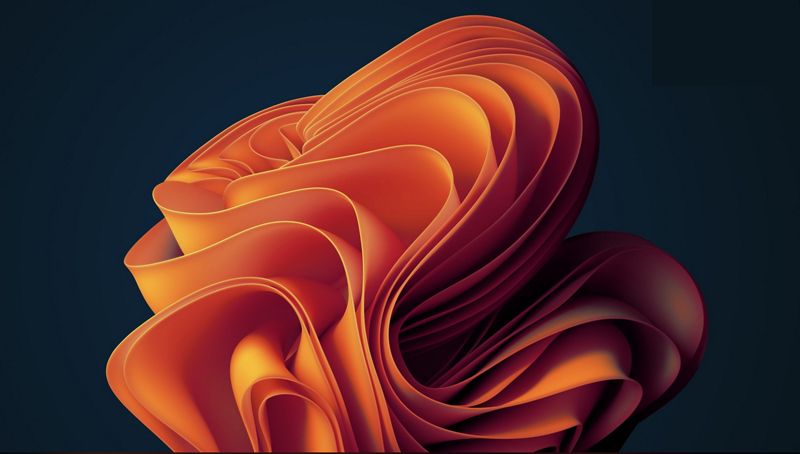 Fondo alternativo bloom windows 11