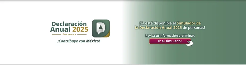 simulador declaracion