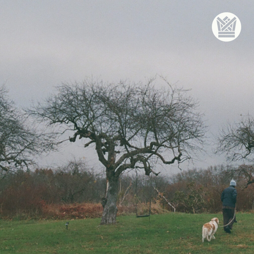 Homer Steinweiss - The Tall Green