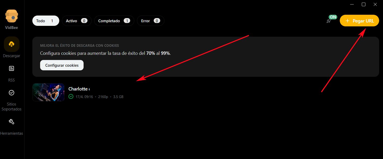Interfaz descarga vídeo VidBee.