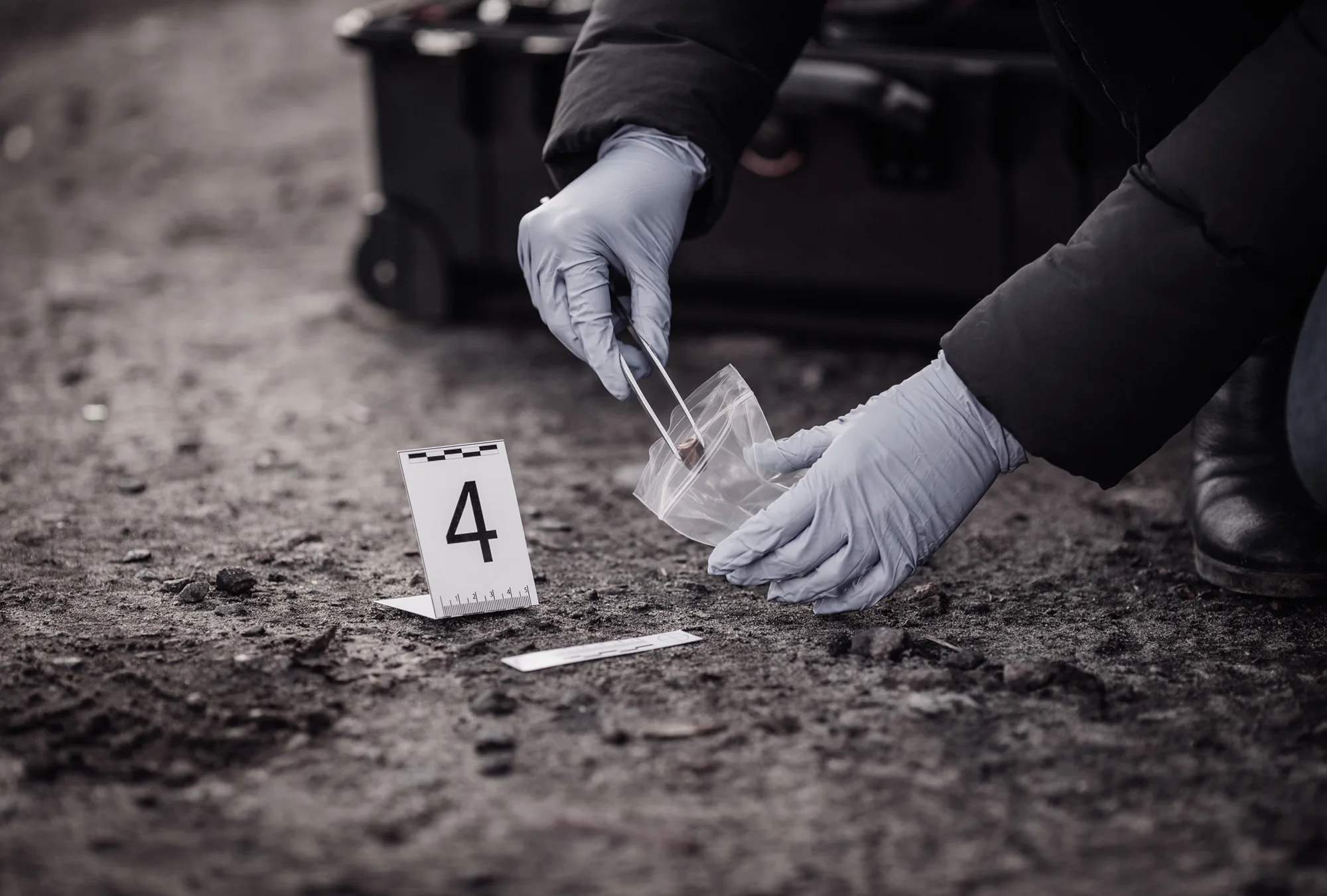 Homicidios en México caen 41% durante los primeros 18 meses de Sheinbaum Homicidios en México caen 41% durante los primeros 18 meses de Sheinbaum