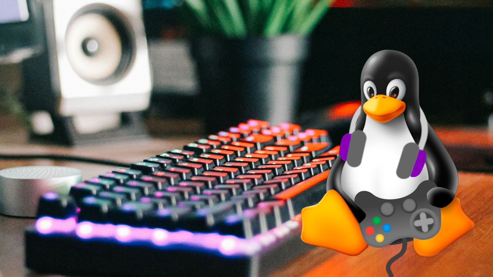 Expertos en Linux que cambian a Windows 11: 5 razones que explican el fenómeno
