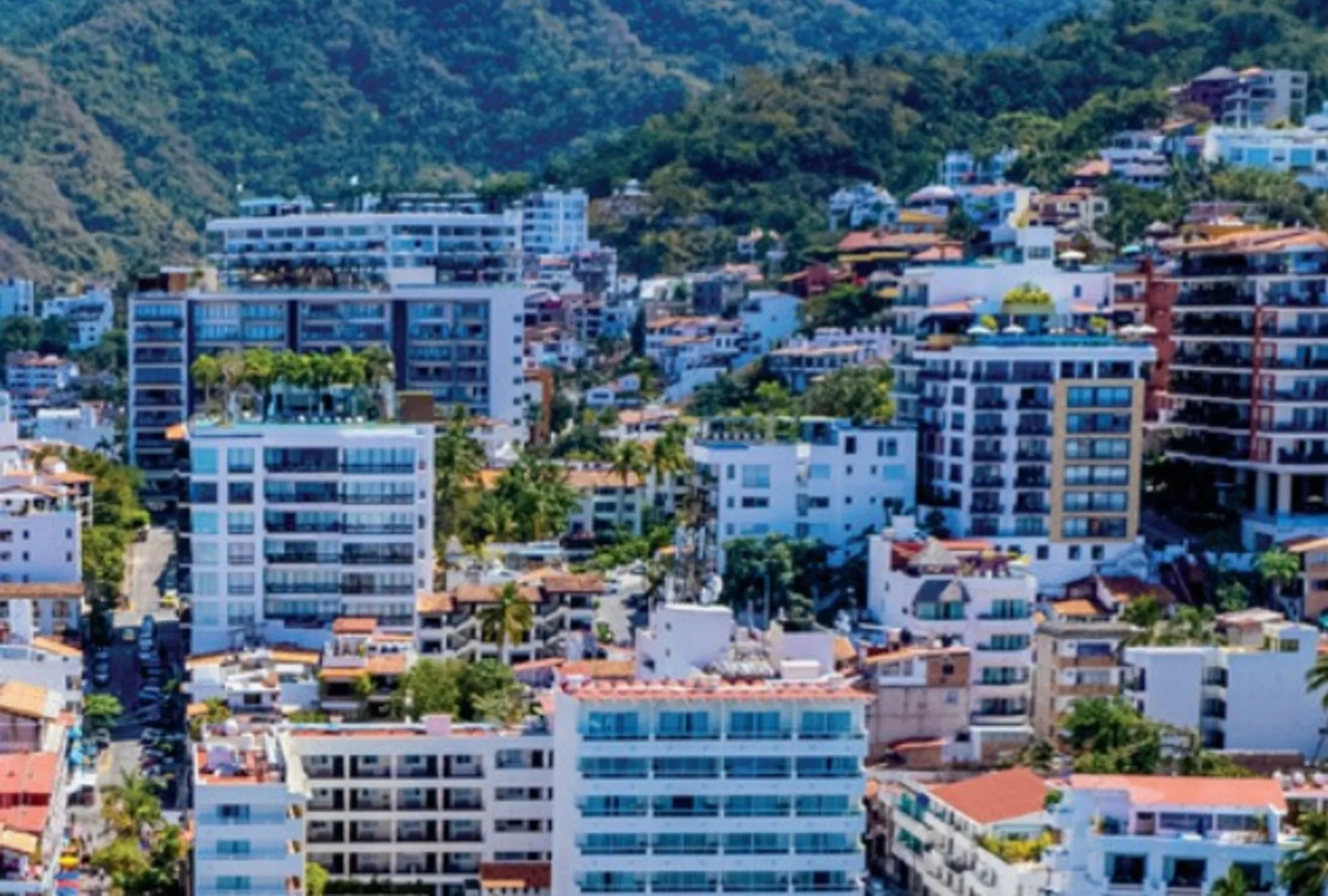 Puerto Vallarta encontró una nueva forma de conquistar al mundo más allá del turismo