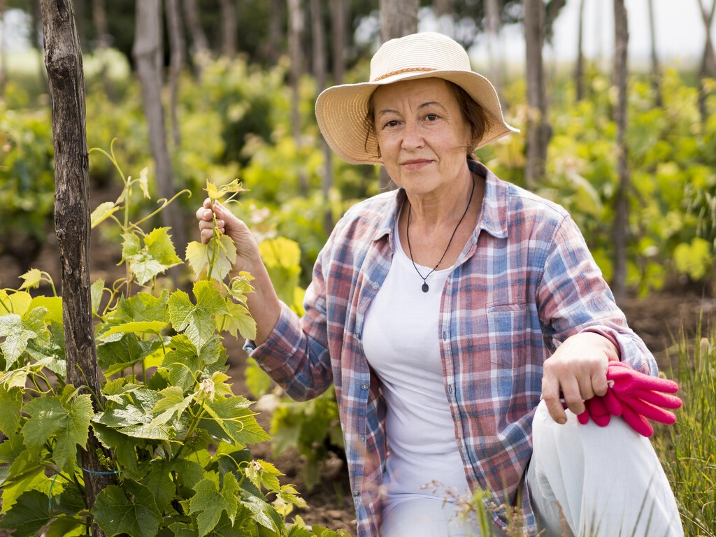 Dos agricultoras rechazan 22 millones de euros a cambio de vender sus tierras para construir un centro de datos: «no significan nada»