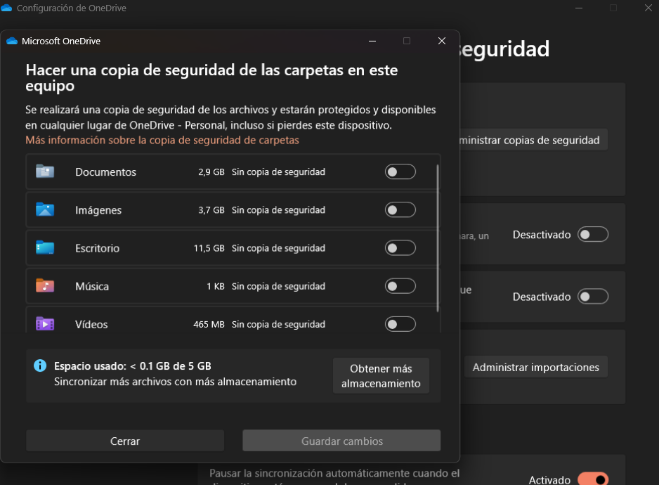 Copia de seguridad OneDrive