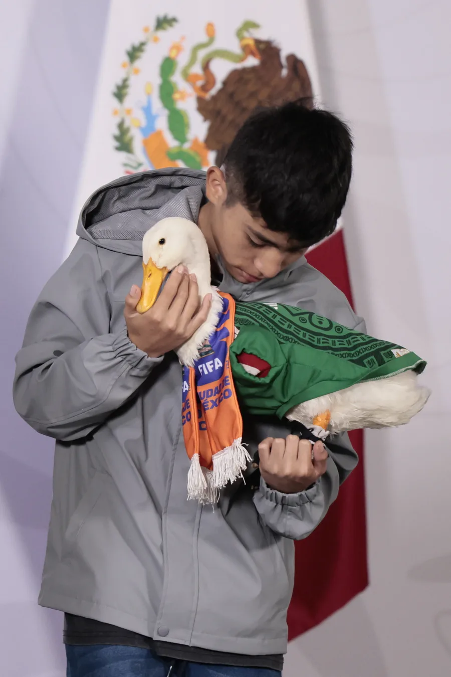 pato merlín