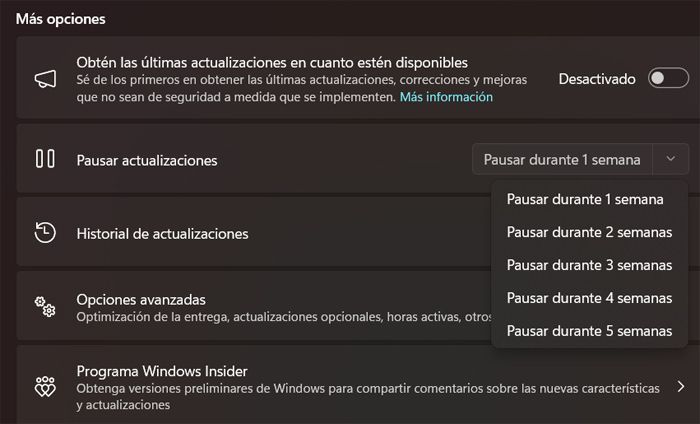 Pausar actualizaciones Windows Update.